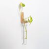 il_fullxfull.8304840191_931r.jpg Plant Propagation Station | Test Tube Holder