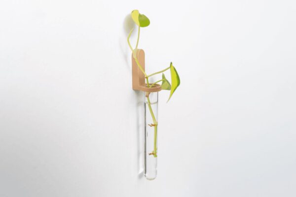 il_fullxfull.8304840191_931r.jpg Plant Propagation Station | Test Tube Holder