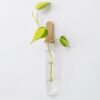 il_fullxfull.8304840195_a6co.jpg Plant Propagation Station | Test Tube Holder