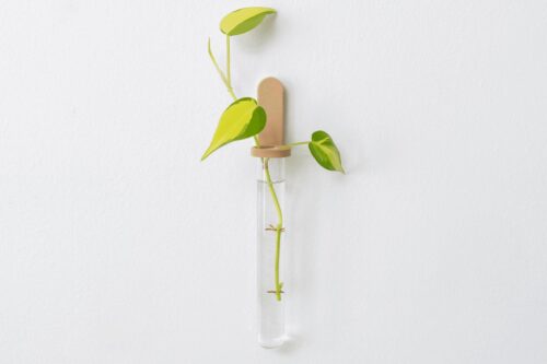 il_fullxfull.8304840195_a6co.jpg Plant Propagation Station | Test Tube Holder