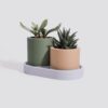 Three Pot Planter | Minimalist Indoor Planter