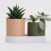 il_fullxfull.8308864589_sw4u.jpg Modern Connected Planter Set | Indoor Succulent Planter with Drainage