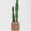 Raised Leg Planter | Hidden Water Tray