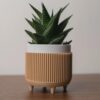 il_fullxfull.8313388861_l7yz.jpg Modern Minimalist Planter | Succulent Pot Available in 3 Sizes